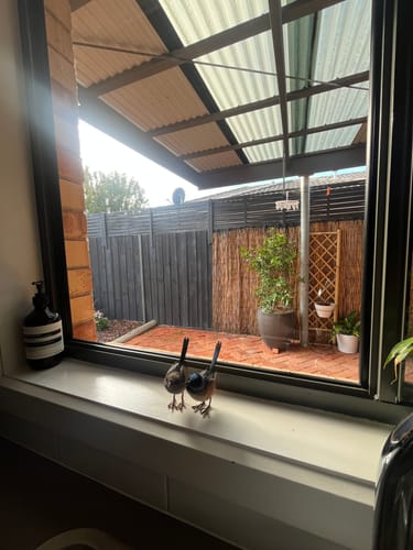 Customer's view through a sparkling, streak-free window after cleaning with a KoalaCloth.
